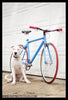 Specialized Langster Fixed Gear Super Custom - 52cm - SOLD